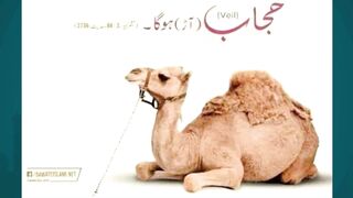 Qurbani Bakra Delivery at Your Doorstep
