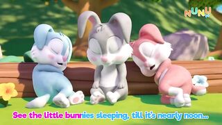 Hop Little Bunnies Hop Hop Hop ｜ Nursery Rhymes & Kids Songs ｜ NuNu Tv