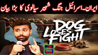 :جب چوہدری کا کتا لڑائی ہارنے لگے تو چوہدری لڑائی ختم کروا دیتا ہے۔ شہیر سیالوی