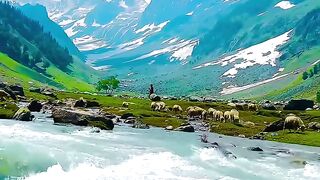 Beautiful video shots