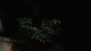 Nature love 12
