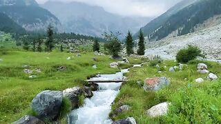 Beautiful video clips shorts video clips