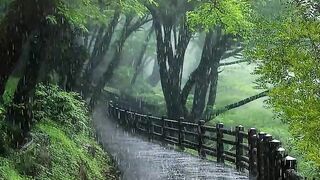 Beautiful weather 21