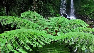 Video clip viral video beautiful weather