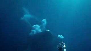 under sea