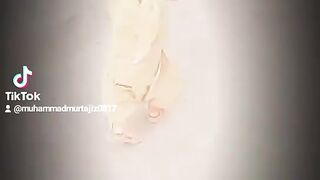 Murtajiz