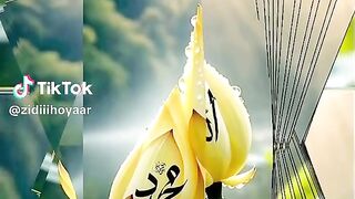 Islamic video 349