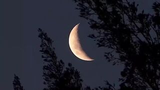 The moon 6
