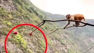 Agar zindagi me kamyab hona hai to tarika badlo Manzil nahi_._._.