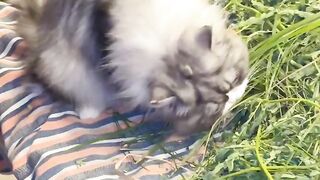 Zoe eating natural food