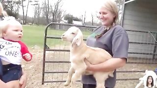 Funny Baby Videos 4