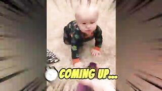 Funny Baby Videos 5