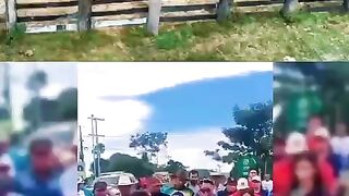 Ibama e ICMBio destruindo tido dos agricultores