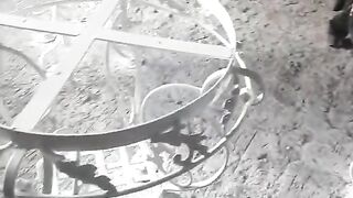 Ramzi 5