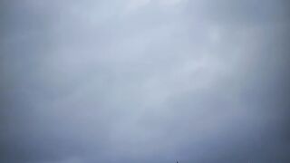 wether's