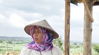 bayaran nguli ngunduh jagung