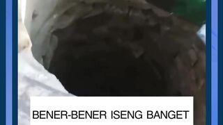seperti bom