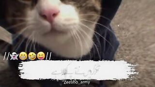 Shukr karo ma nay ap ko apna mana howa ha