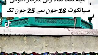 Online Earning 25
