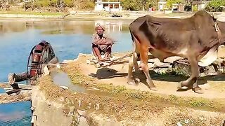 Culture of Cholistan