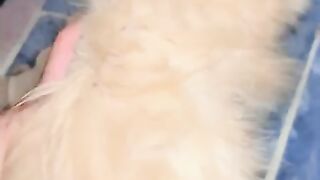 So Cute ???? 2