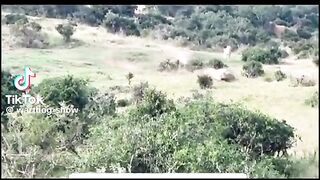 Very nicee video nicee