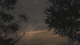 Islamic video 364