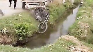 Full funny videos ????viral video 50k view please