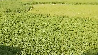 Beautiful video ???? 3
