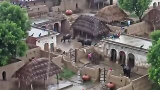 Peaceful Rainy Day in a Traditional Village ????️????