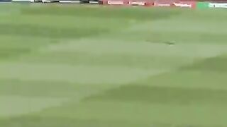 Historical Victory South Africa Is New World Test Champion