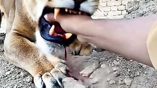 Shair ki video