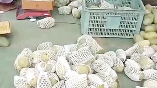 Mango season
