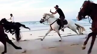 Horse riding 16