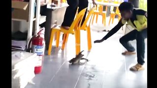 Some Incredible moments caught on camera