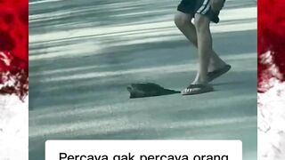 Tipisnya tissu pun kalah ini mah