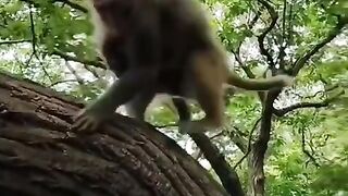 #FunVideo 106