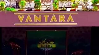 Annat Amani 2