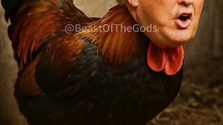 Why eggs are so expensive in America_