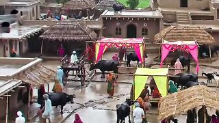Peaceful Village View | Nature & Simplicity ????