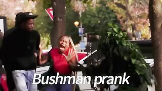 Funny Videos Shorts New 2025