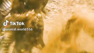 full video watching 45
