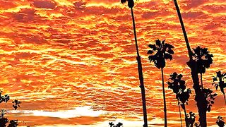 Golden Sunset Embracing the Earth ????????