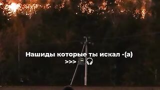 Nasheed 9