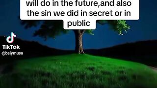 Very nicere video