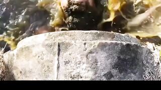Funny ???? video today best fun