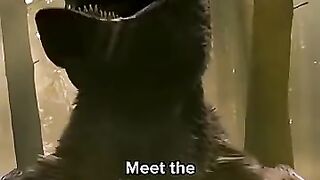 Utahraptor: The Fearsome Predator with Razor-Sharp Claws