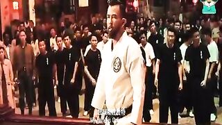 IP Man - Donnie Yen