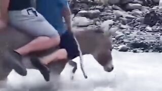Epic funny videos#fails#funnyfails