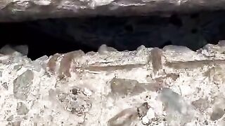 #masti    #FunVideo  #funnyreels  #viralvideo  #trendingreels